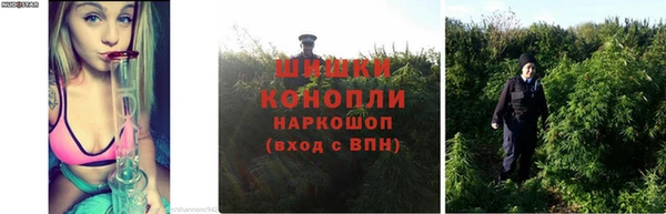 ГАЛЛЮЦИНОГЕННЫЕ ГРИБЫ Баксан