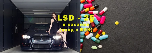 ГАЛЛЮЦИНОГЕННЫЕ ГРИБЫ Баксан