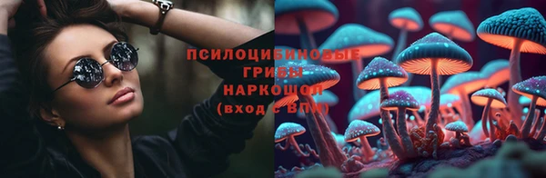 ГАЛЛЮЦИНОГЕННЫЕ ГРИБЫ Баксан