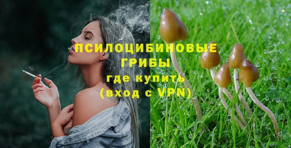 дмт Слюдянка