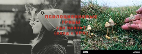 ГАЛЛЮЦИНОГЕННЫЕ ГРИБЫ Баксан