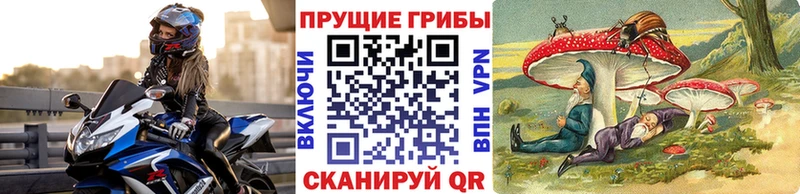 Псилоцибиновые грибы MAGIC MUSHROOMS  Верхняя Салда 