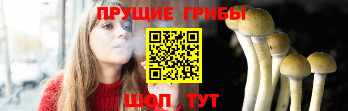 Верхняя Салда  Псилоцибиновые грибы MAGIC MUSHROOMS  Вход с VPN 